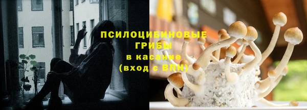спайс Богданович