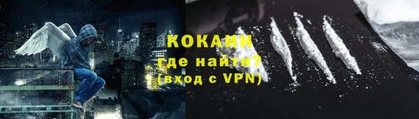 спайс Богданович