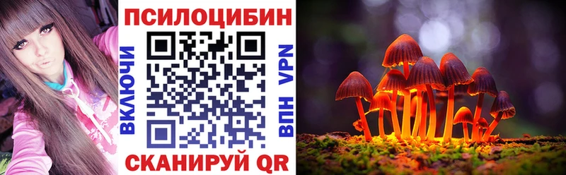 магазин наркотиков ссылка на мегу сайт Галлюциногенные грибы Psilocybine cubensis Курск
